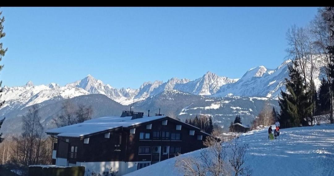Studio Porte Du Mont Blanc Combloux Aux Pieds Des Pistes 外观 照片
